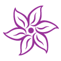 icone de fleur violette