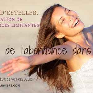 Atelier « Mettre de l’Abondance dans sa vie »