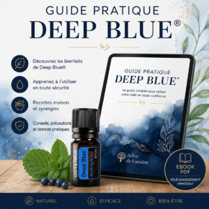 Ebook « Guide pratique Deep Blue »