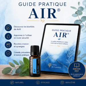 Ebook « Guide pratique de l’HE Air »