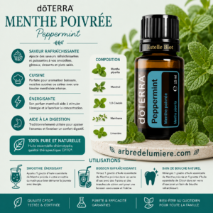 Menthe Poivrée - Peppermint