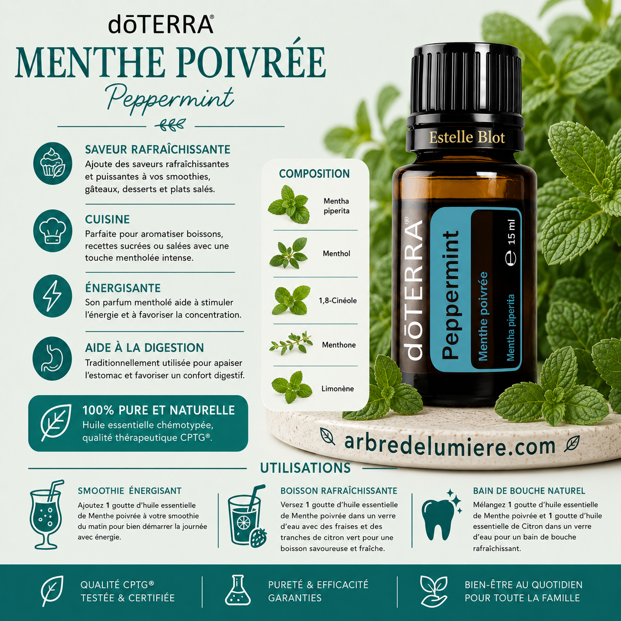 Menthe Poivrée - Peppermint