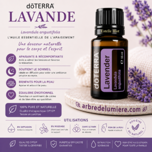 Lavande